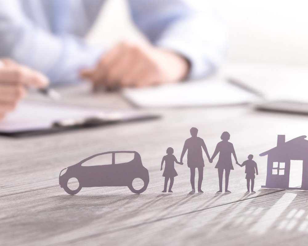 Life Insurance Provider